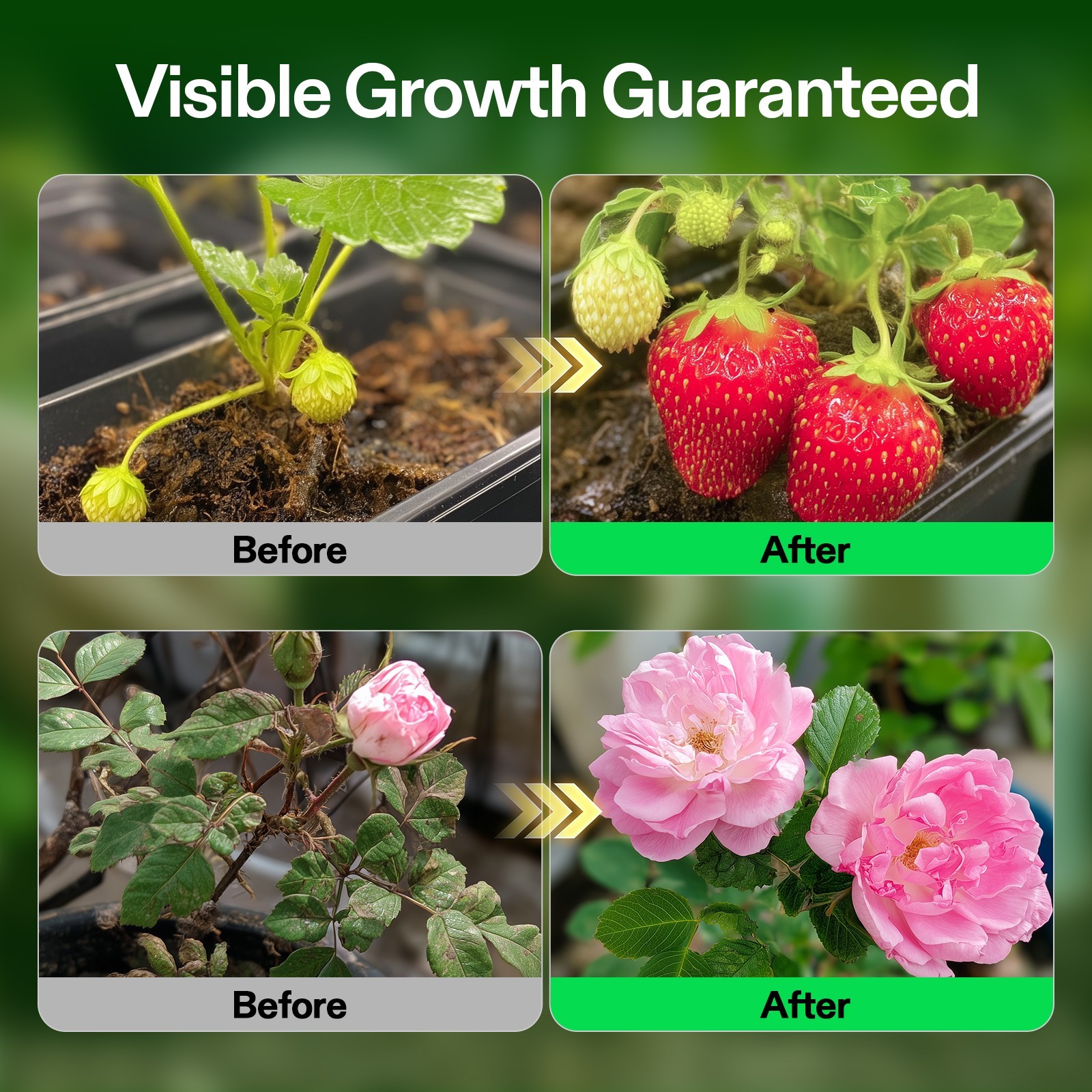 VIVOSUN 32 oz Liquid Nutrients Fertilizer Base A & B Bundle 100% Water Soluble