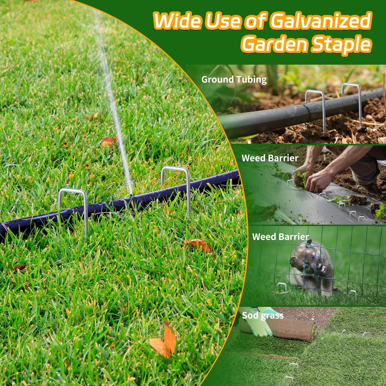6 Inch Galvanized Landscape Staples, 200 Pack 10 Gauge Garden Stakes Plant, H…