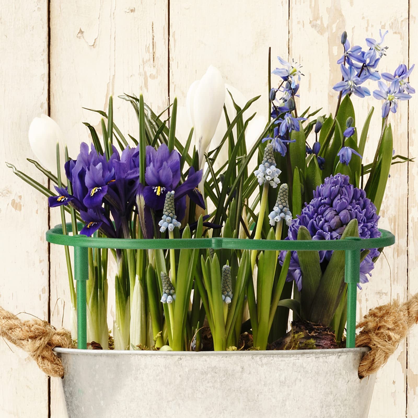 36Packs Plant Support Stake Half Round Plant Support for Indoor Plants, Stack…