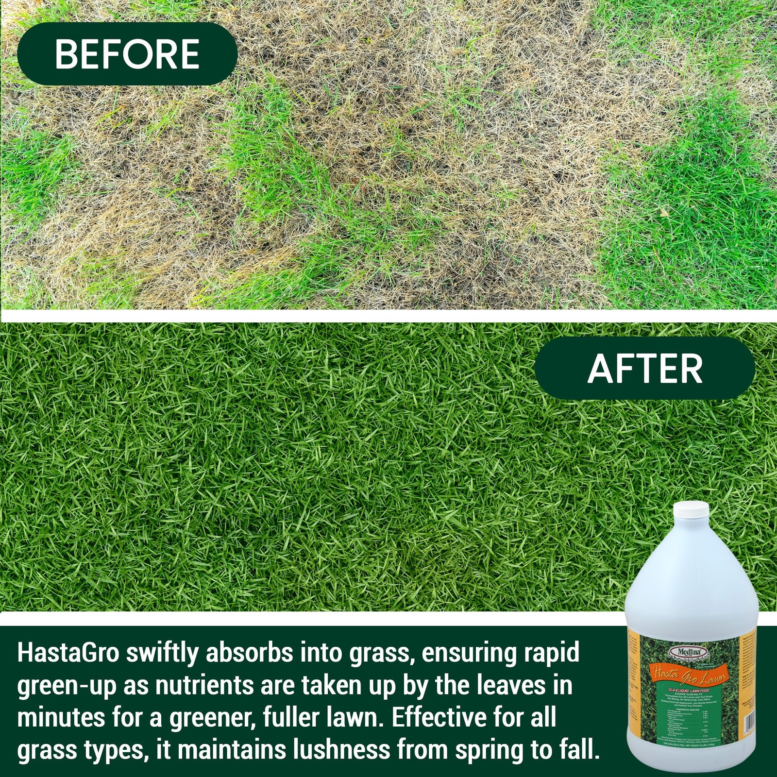 Medina HastaGro Liquid Lawn Fertilizer 1248 Liquid Fertilizer for Lawns, Rea…