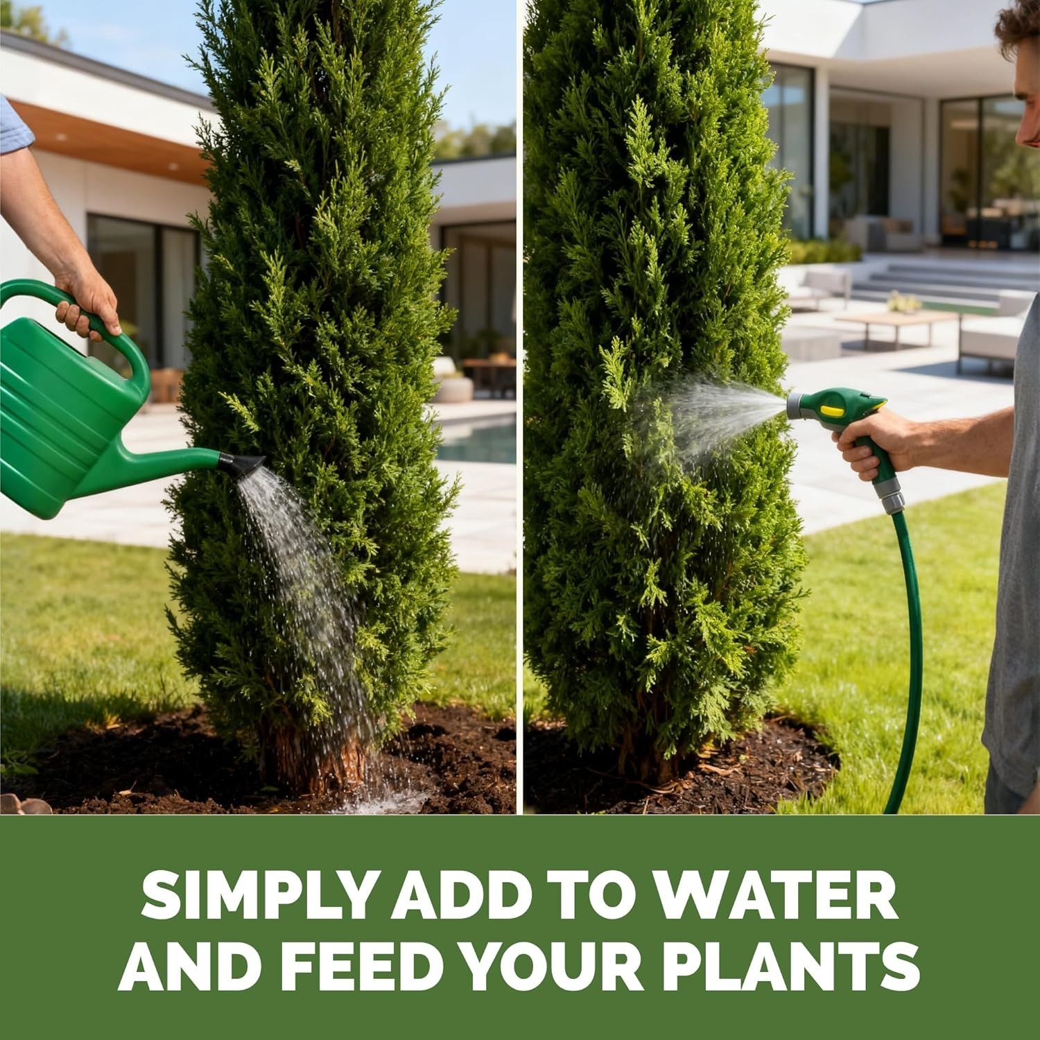 Evergreen Tree Fertilizer – Liquid Plant Food Rich Green Needles Stronger Roots