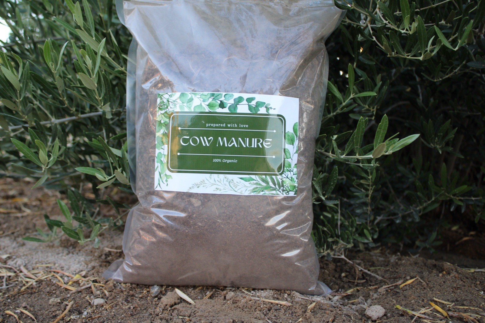 Organic Cow manure