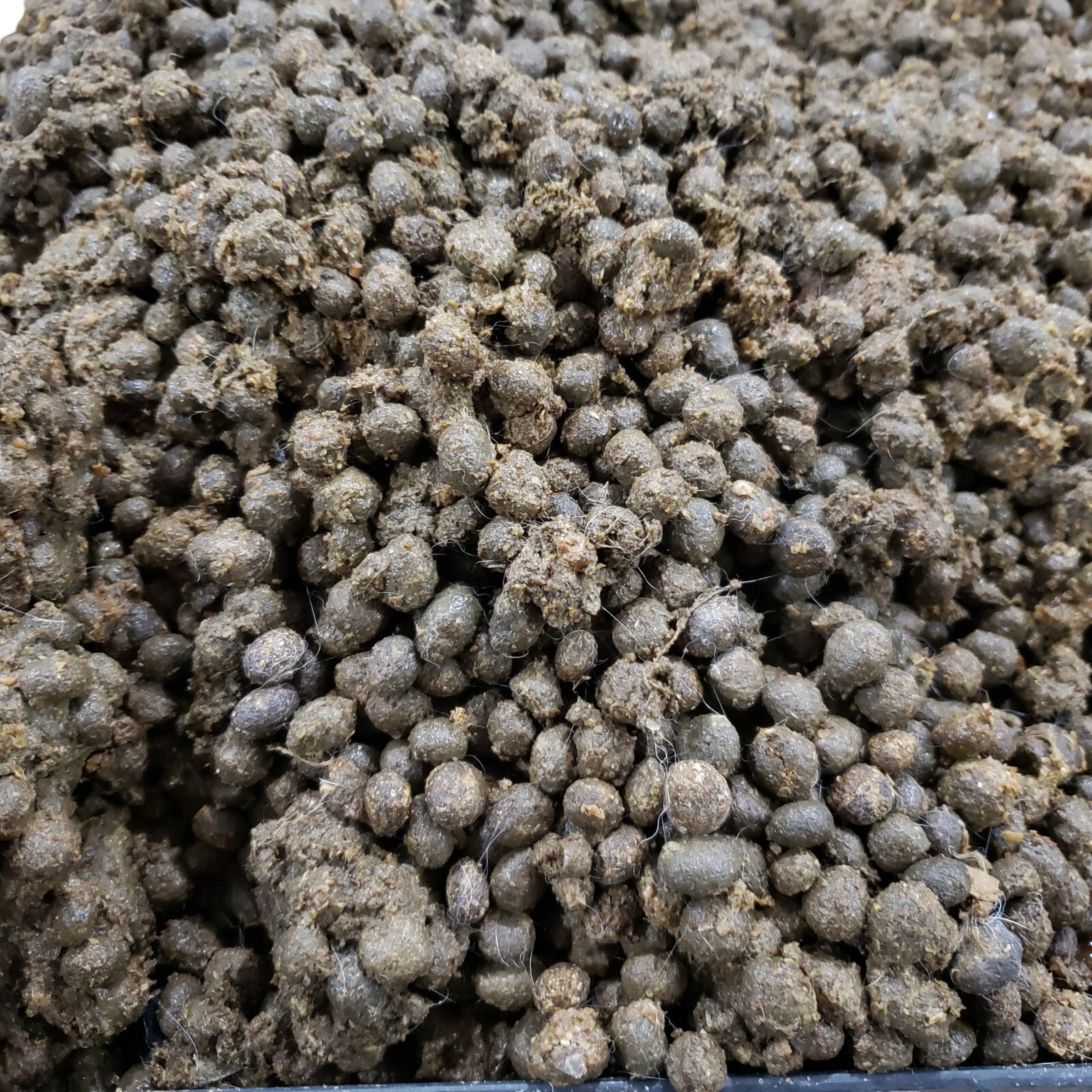 12.5 Lb Rabbit Manure RINSED No STRAW/HAY – Organic Fertilizer Poop Compost Pooh