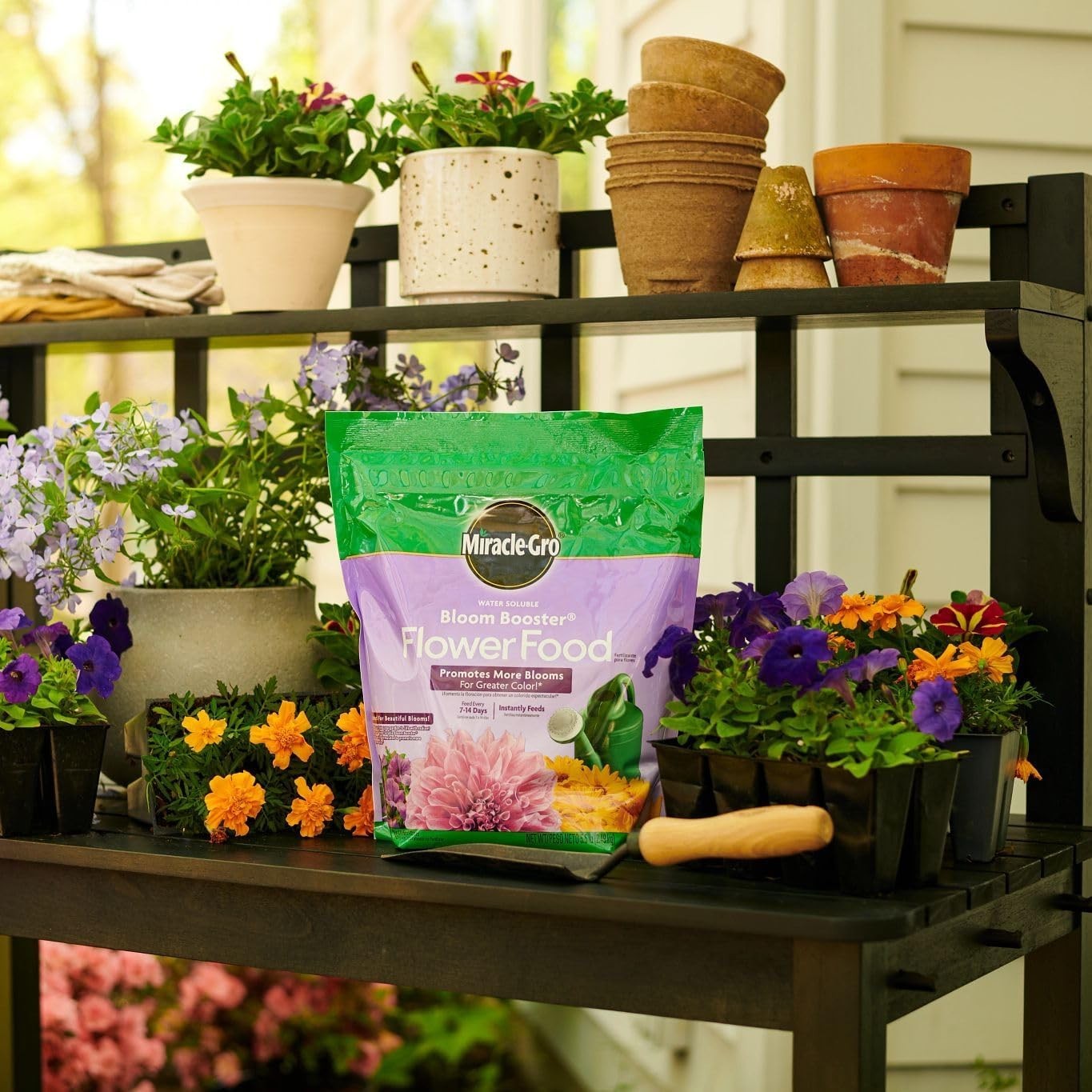 Water Soluble Bloom Booster Flower Food, Plant Food – 5.5 lb.