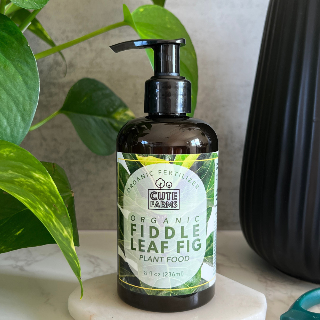Organic Fiddle Leaf Fig Plant Food