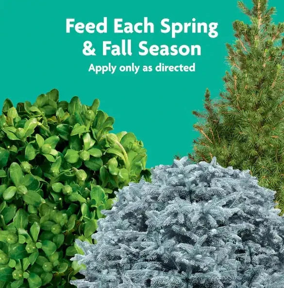 Tree and Shrub Plant Food Spikes 3 lb. For Deciduous, Flowering and Evergreen