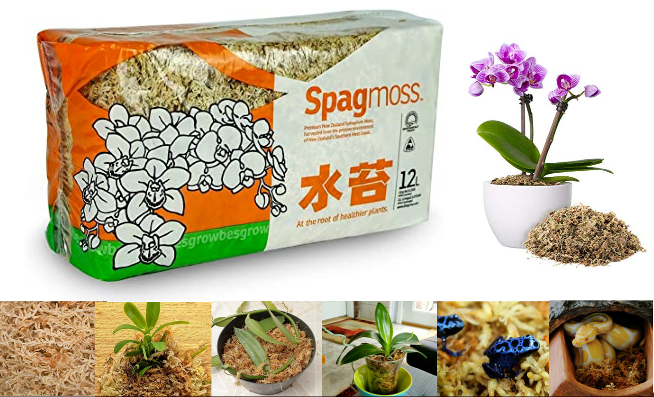 Premuim Sphagnum moss New Zealand 12L Orchid Plant Natural Non-toxic 150 g