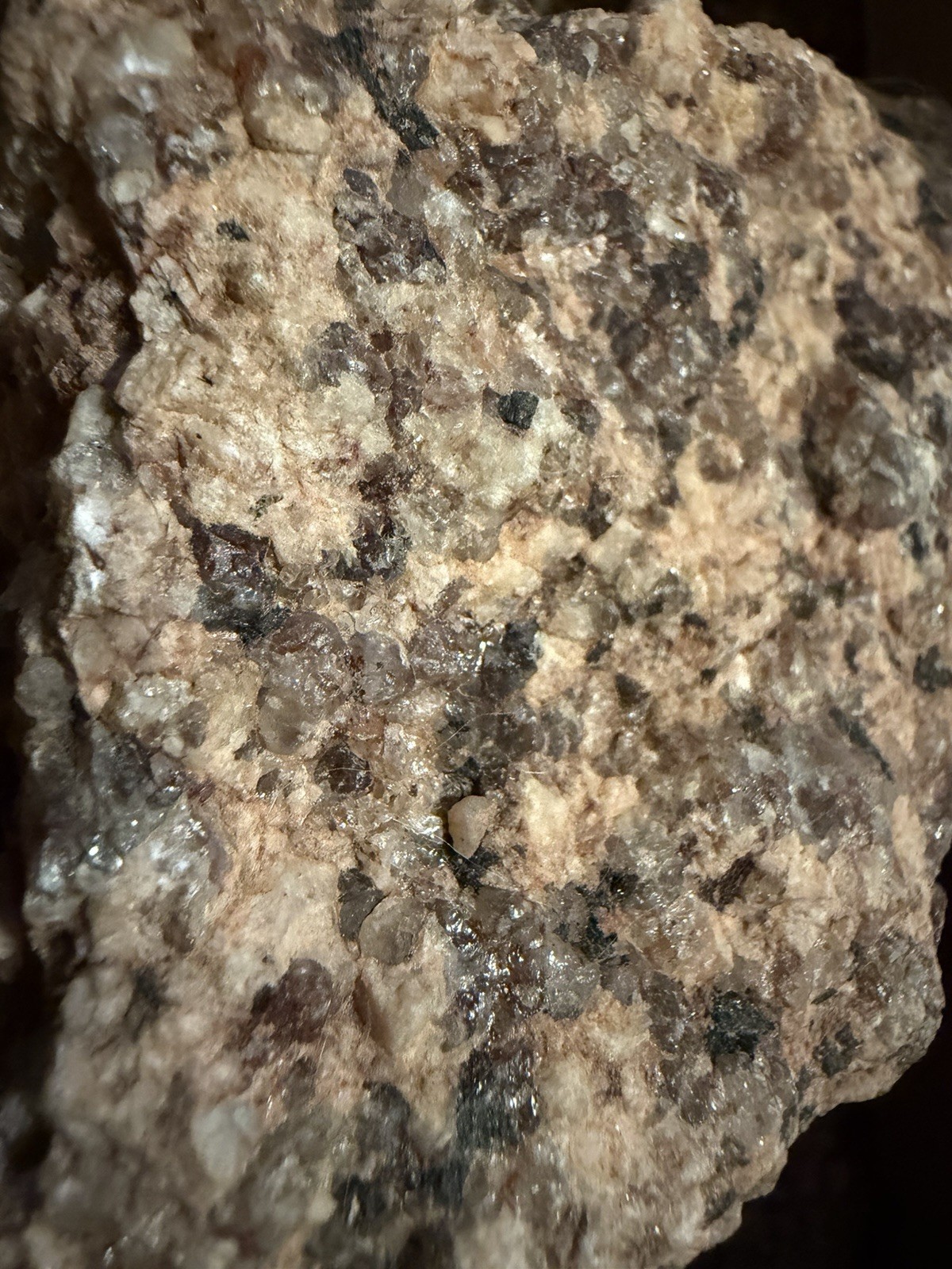 Crushed Rock For Cacti Mountain Cactus Raw Host Rock For Native Spps Blend 3LB