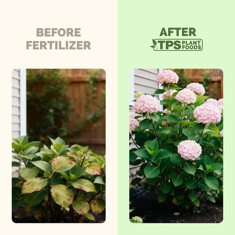 Hydrangea Plant Food Liquid Nutrients Flowering Shrubs Garden Growth 8oz New