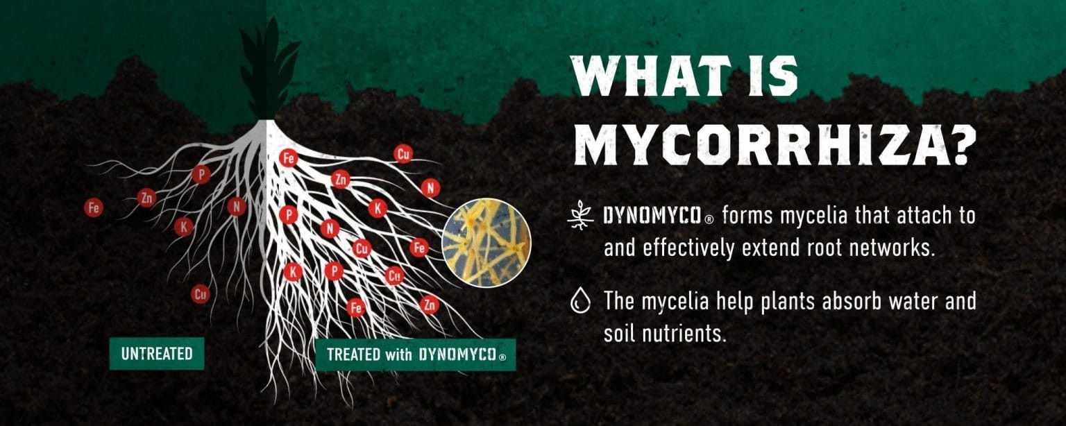 DYNOMYCO Granular Mycorrhizal Inoculant Root Enhancer – 750 Grams – USA SELLER