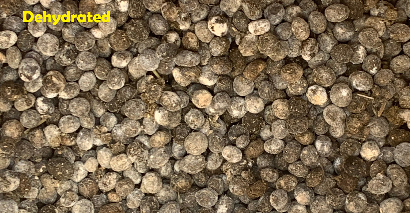 Organic Rabbit Bunny Poo Garden Lawn Manure Fertilizer Hermit Crab Food 2 Lbs
