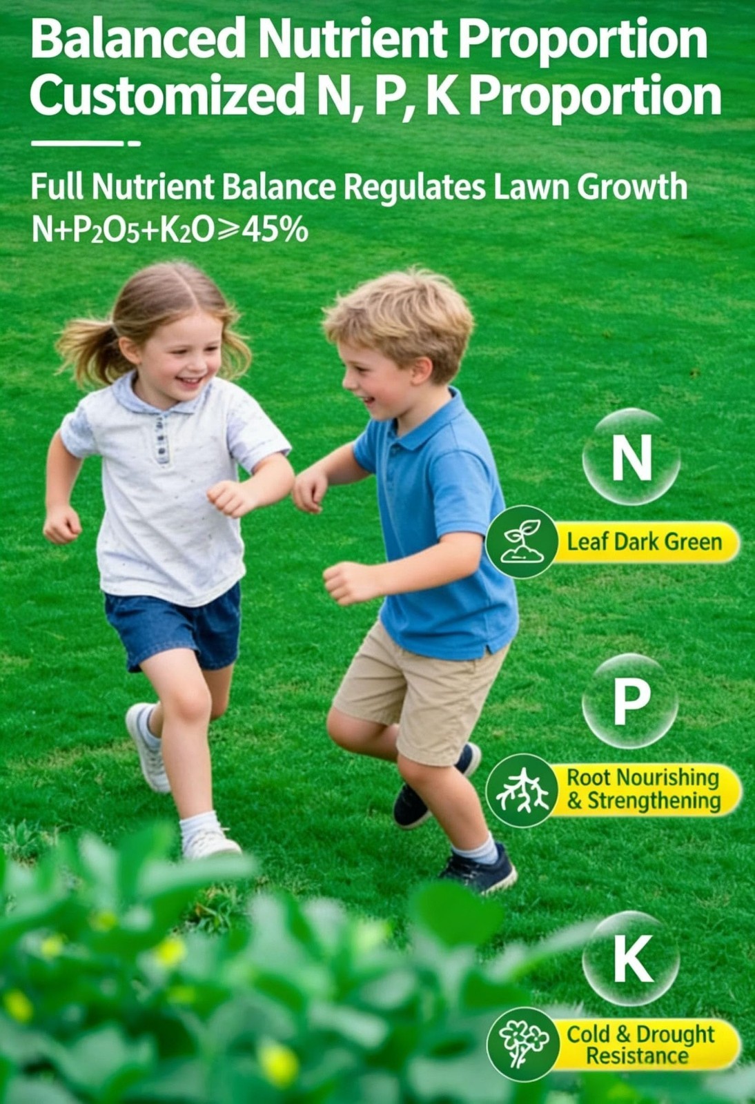 All-Purpose Granular Garden Fertilizer 15-15-15 for Flowers, Vegetables, Lawns &