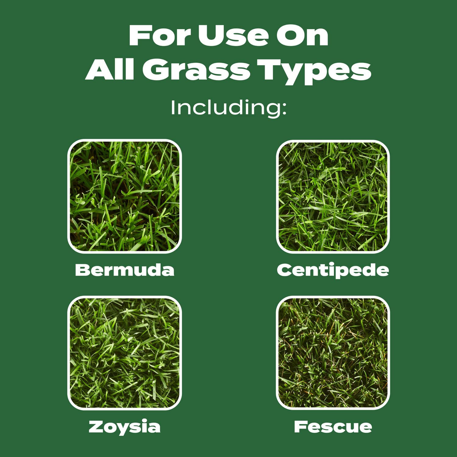 Turf Builder Lawn Food – Fertilizer for All Grass Types, 5,000 Sq. Ft., 12.5 Lbs
