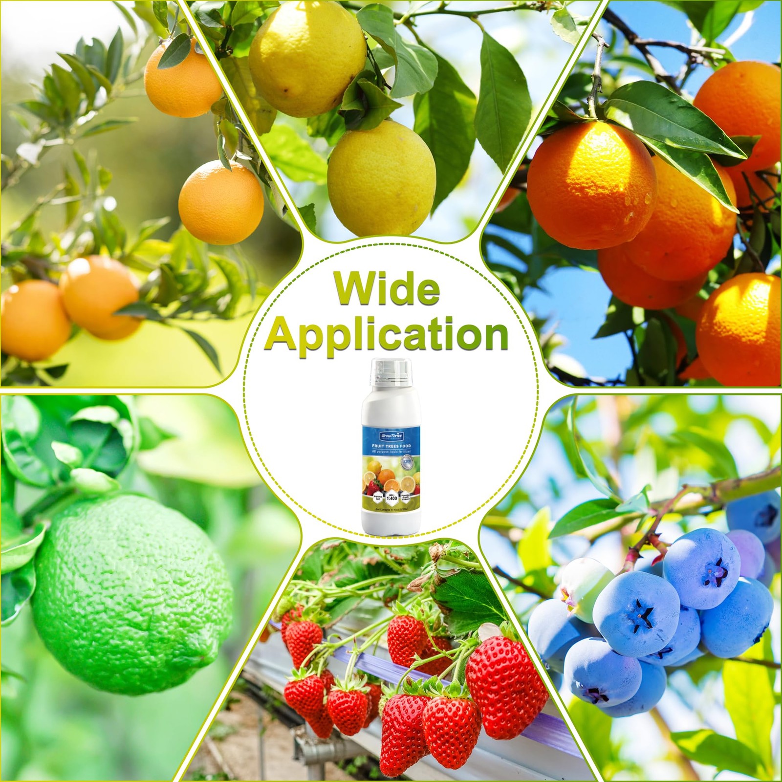 Fruit Tree Fertilizer – Liquid Plant Food for All Fruit Trees, Supports Lush …