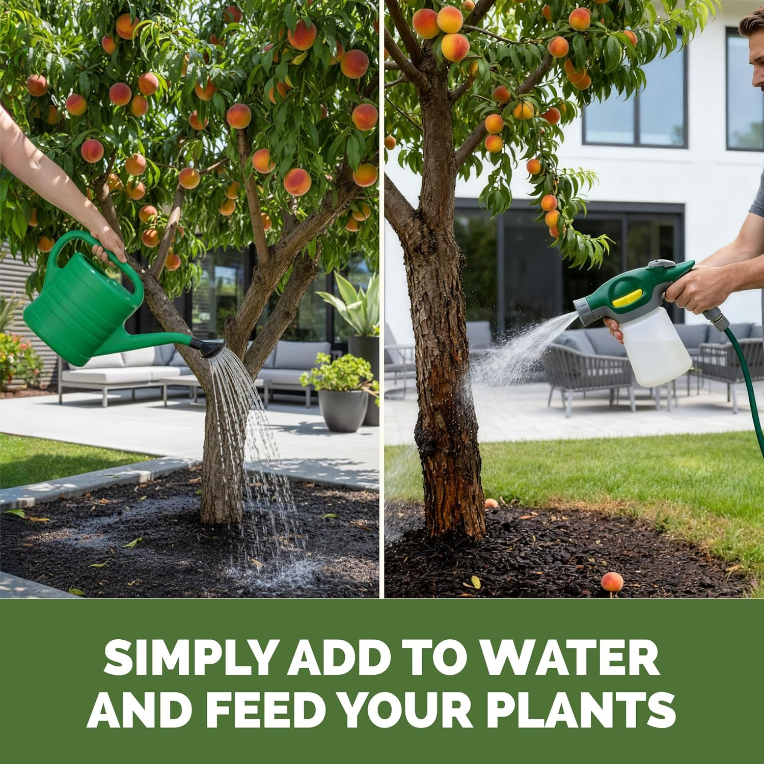 Peach Tree Fertilizer – Liquid Peach Tree Plant Food for Healthy Growth & Fruit
