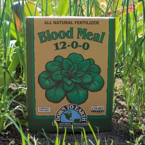 Down To Earth Blood Meal 12-0-0 All-Natural Fertilizer, 4 lbs