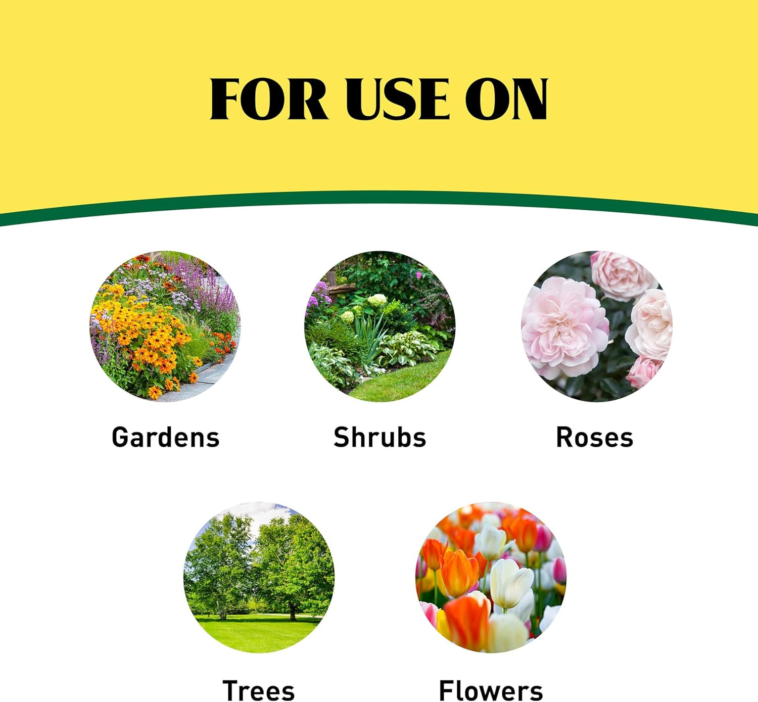 plus Shrubs, Trees Plant Food Bag Granular 12-10-10 3Lb