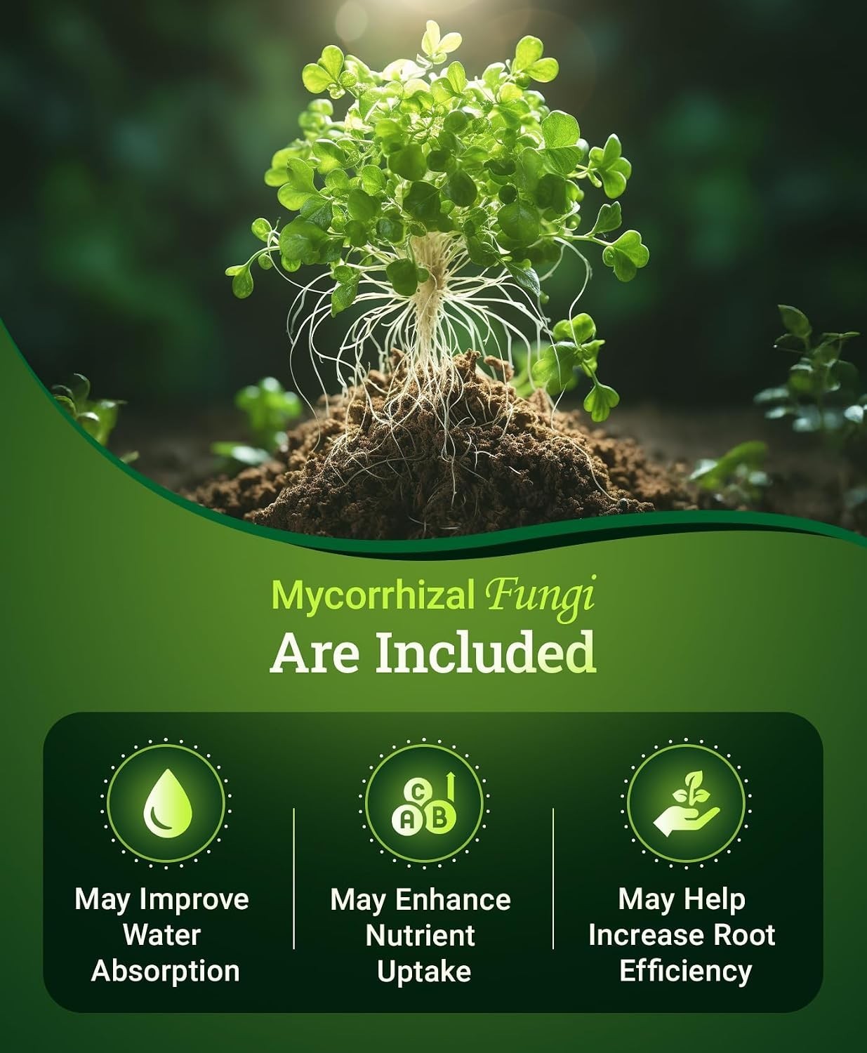 Happy Frog All Purpose Fertilizer – Slow Release Fertilizer for Flowers, Vege…