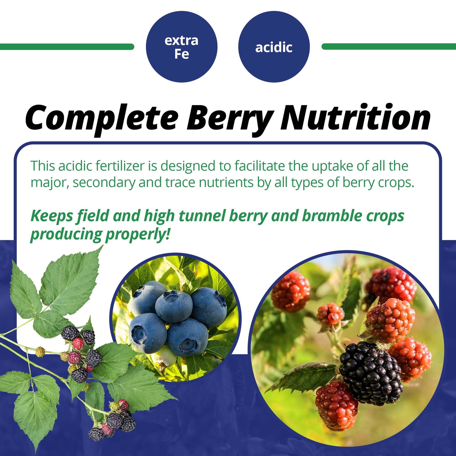 Jack’s Professional 25-9-17 Berry Special Water-Soluble Fertilizer, 25lbs