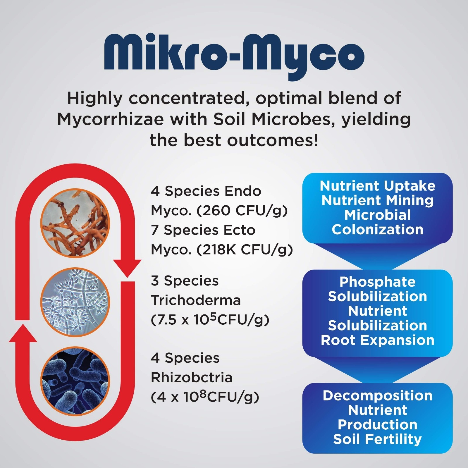Highly Concentrated Mycorrhizal Fungi Powder – 11 Endo/Ecto Strains for Root Gro