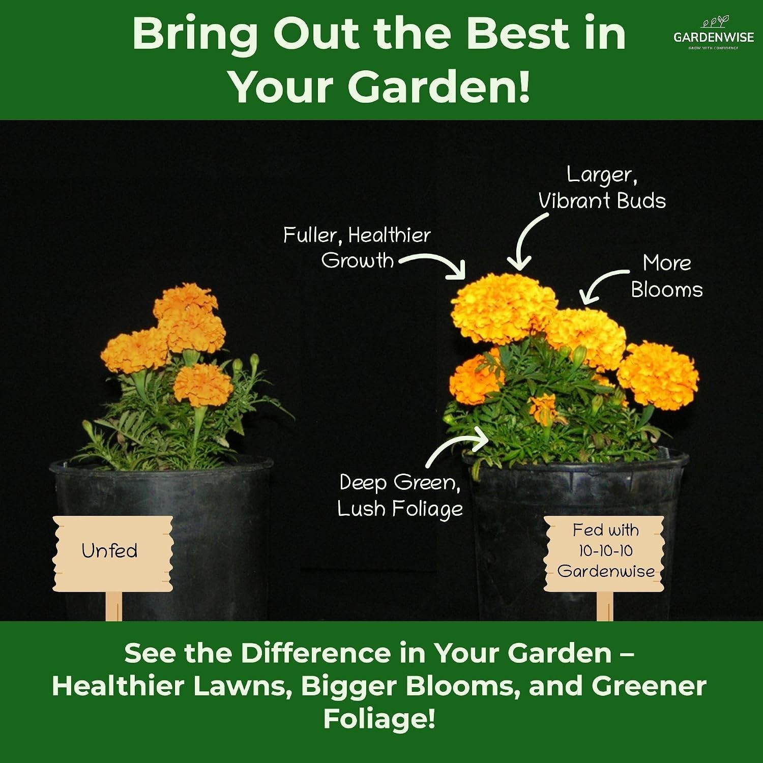 Balanced 10-10-10 Plant Food – 2 Quarts of Granules for Lush Growth and Blooms