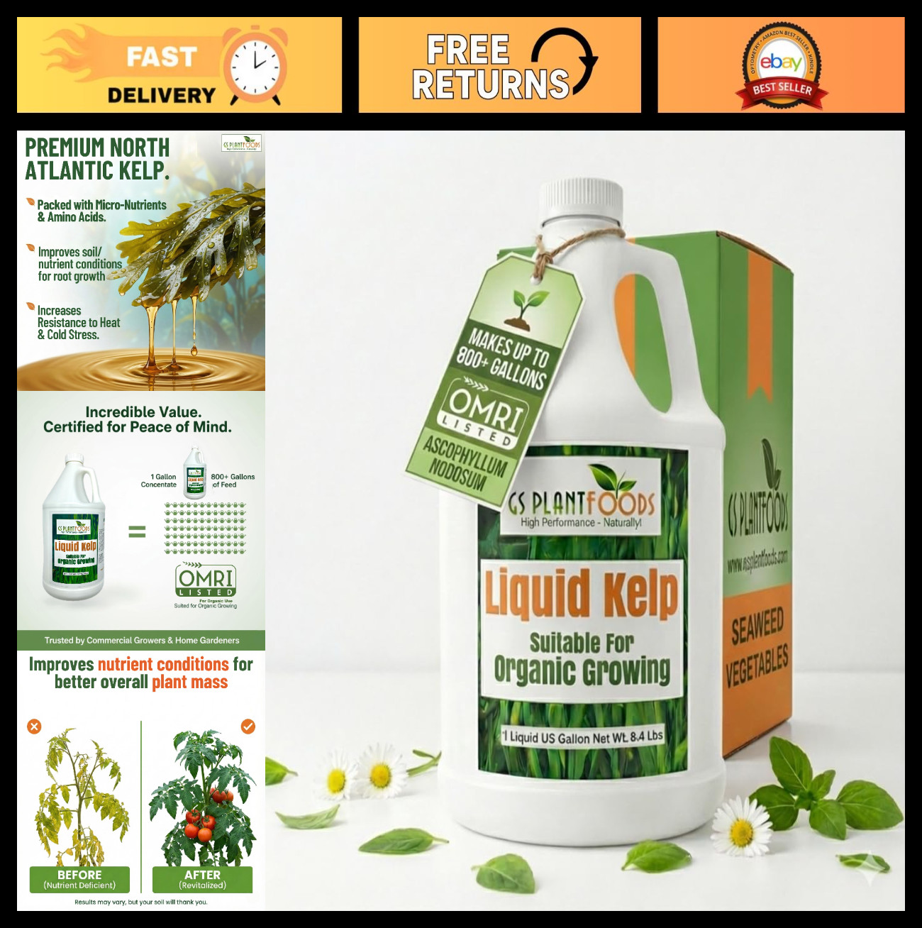 Organic Liquid Kelp Fertilizer – Seaweed Concentrate for Lawns & Gardens – 1 Gal