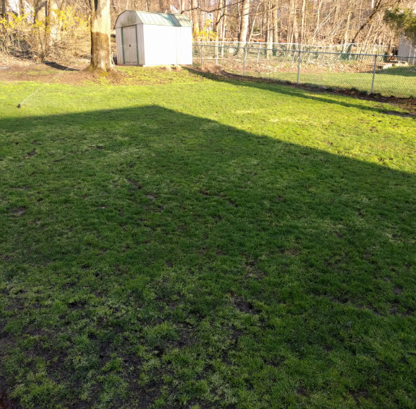 Scotts Turf Builder Thick’R Lawn Sun & Shade Seed, Fertilizer & Soil 40 lb