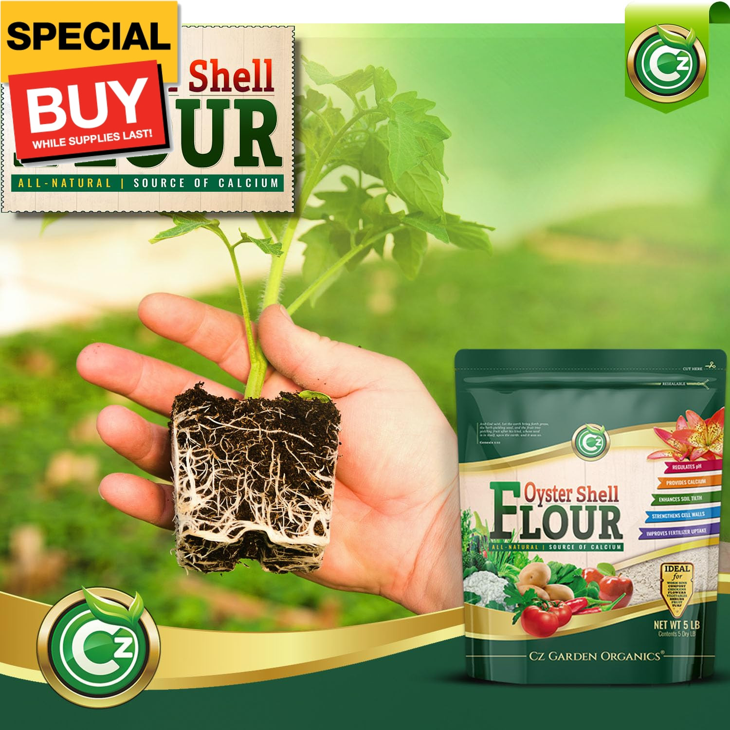 Oyster Shell Flour 5LB – Made in USA Soil Amendment Fertilizer for Indoor/Outdoo