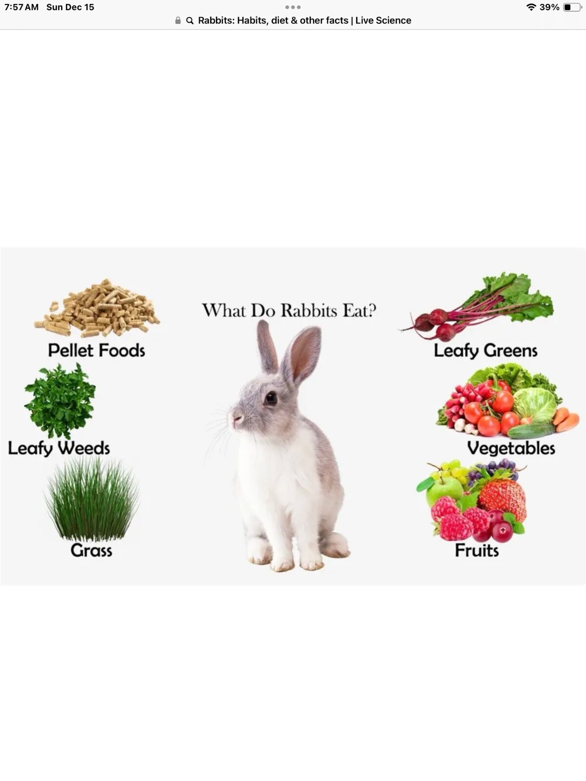 Organic Rabbit Manure Poop Fertilizer. No straw or pine pellets. 2×2 pound bag