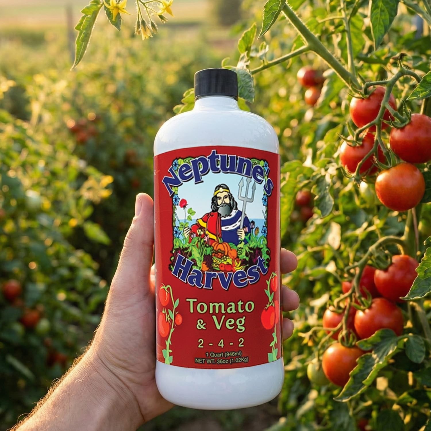 Organic Tomato & Vegetable Fertilizer 2-4-2 Liquid Plant Food – Fish, Seaweed, M