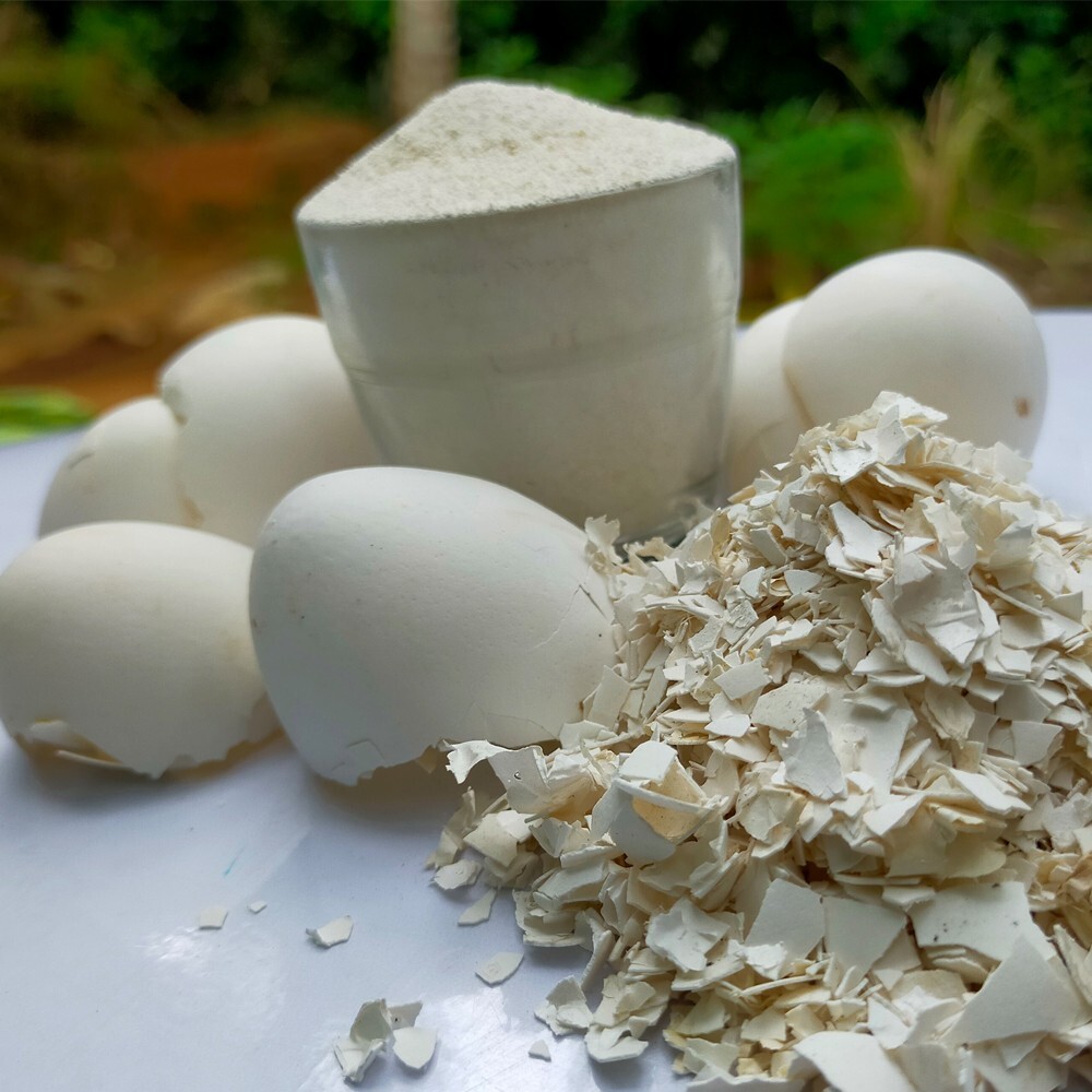 Organic Ceylon Powder Egg Shell fertilizer Whitener Home Made