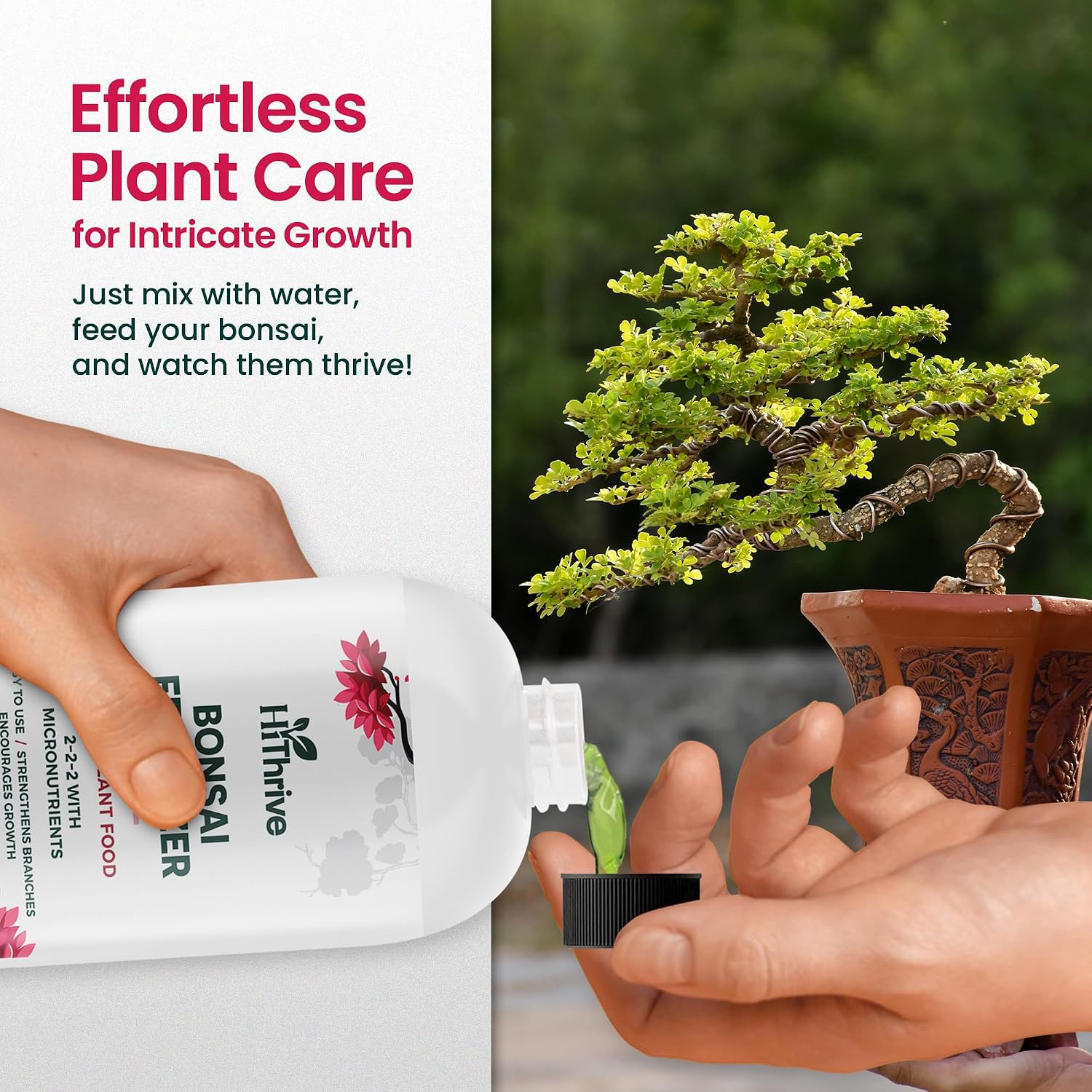 32Oz Bonsai Tree Live Liquid Plant Food – Makes 64 Gallons of Bonsai Fertilizer