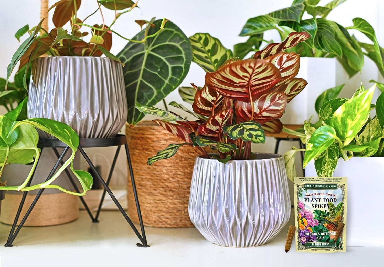 Indoor Plant Fertilizer Spikes 5-5-5 – 12 Pack