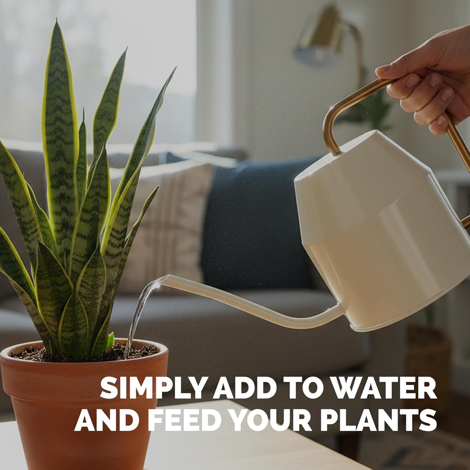 Snake Plant Fertilizer – Liquid Plant Food for Upright Growth, Strong Roots &…