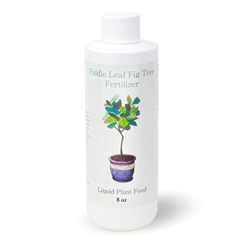 Fiddle Leaf Fig Fertilizer 3-1-2 Liquid Plant Food for Ficus Indoor Trees 8oz