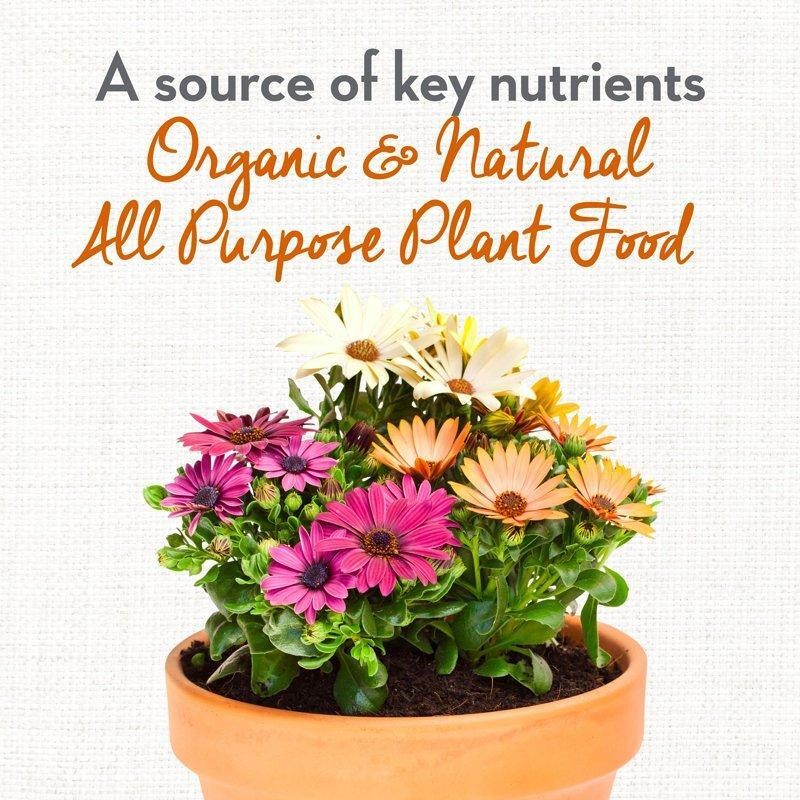 Organic All-Purpose Plant Food 4lb Whitney Farms Boost Growth Abundant Blooms US