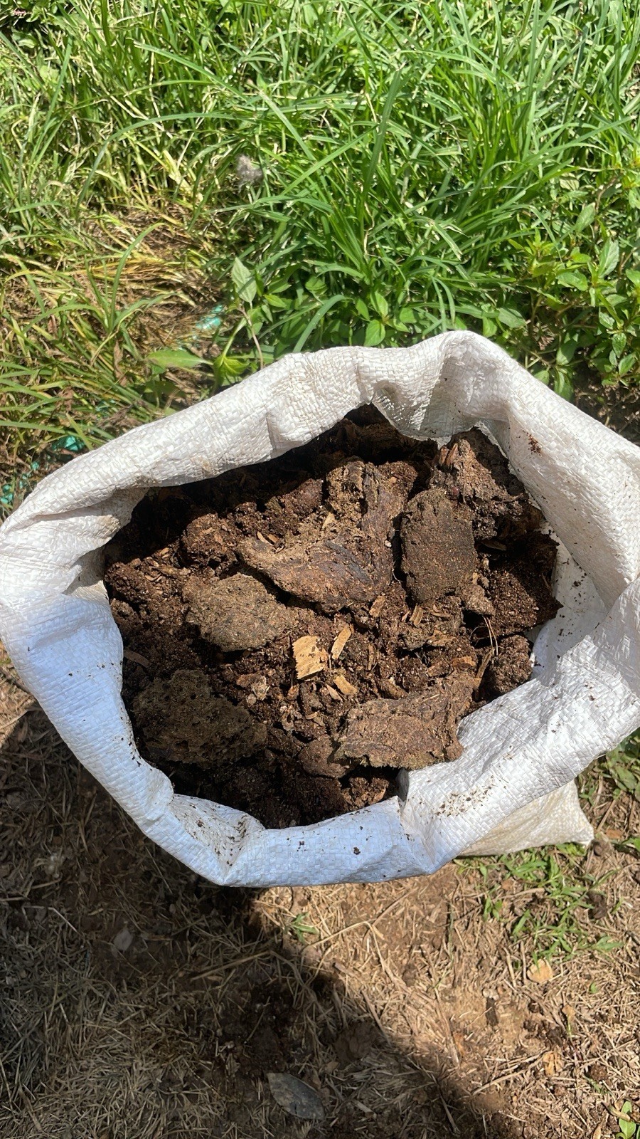 Organic Chicken Poop Manure fertilizer 5lb (Nitrógen, Potassium, Phosphorus)