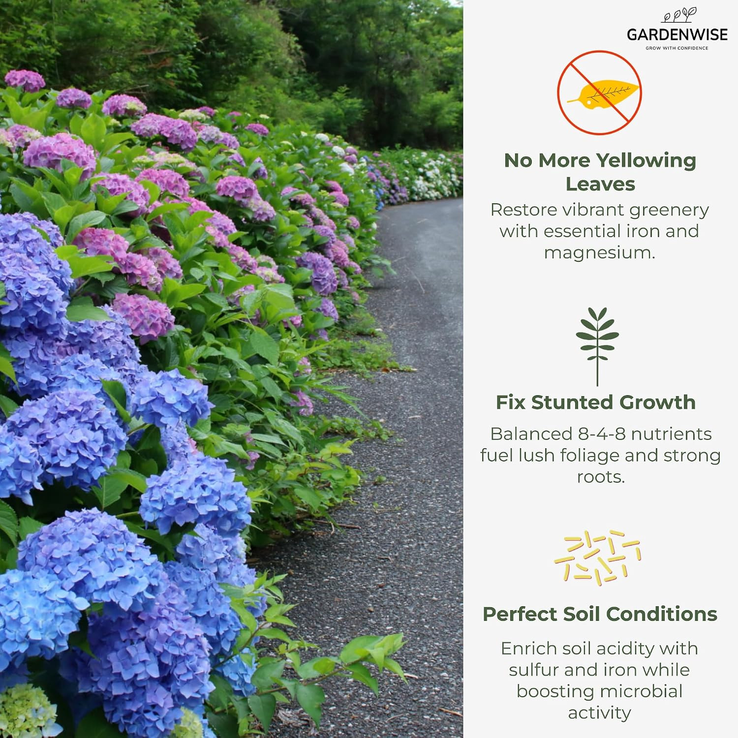 Slow Release Hydrangea Fertilizer with Iron & Sulfur, 12 Oz