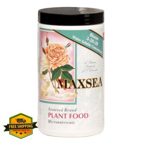 Talent Maxsea Bloom Plant Food 1.5 lb