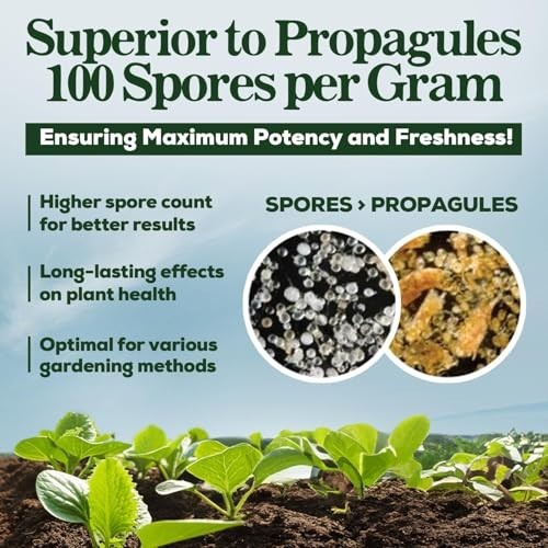 Organic Mycorrhizal Fungi Root Enhancer – 100 Spores/g, 5 Strain Blend, 250g for
