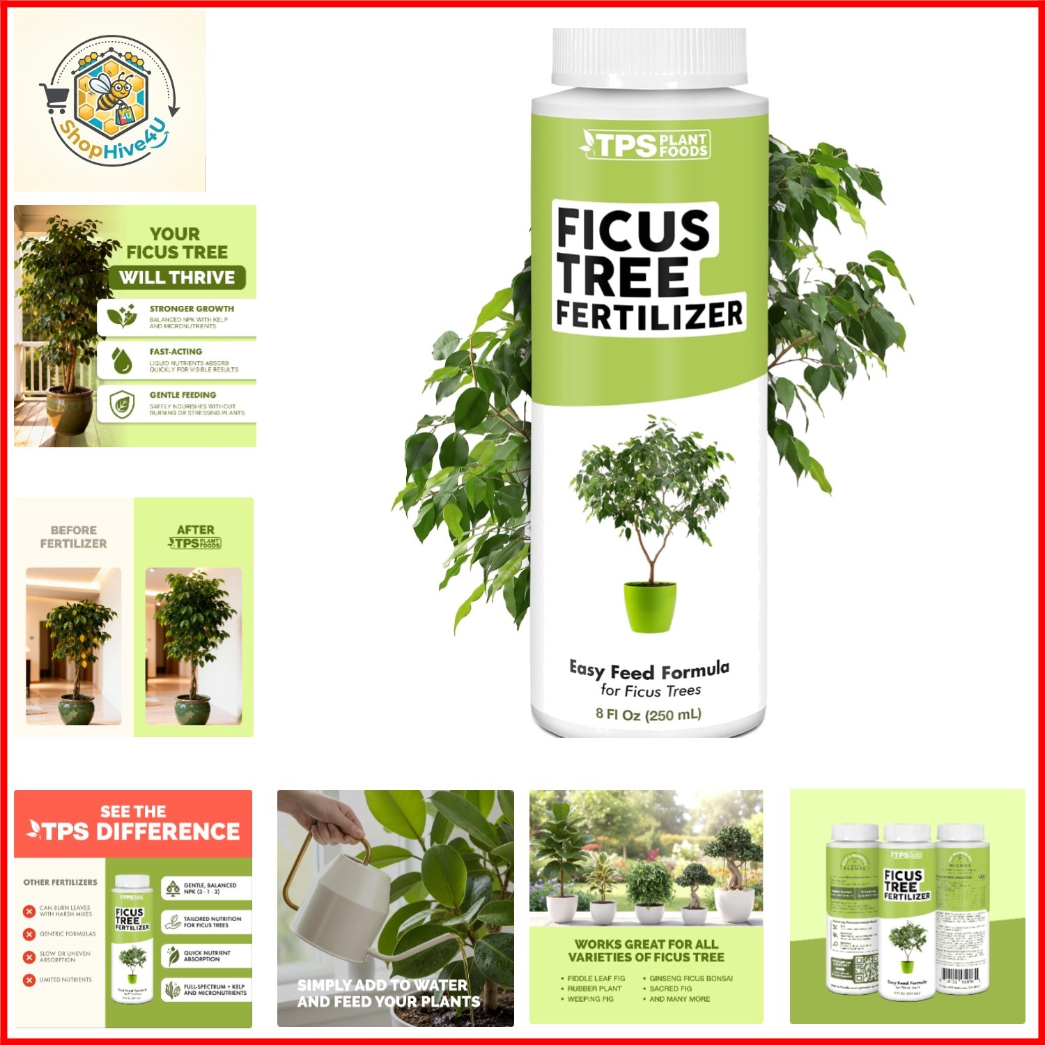 Ficus Tree Fertilizer – Liquid Plant Food for Lush Foliage, Stronger Roots & …