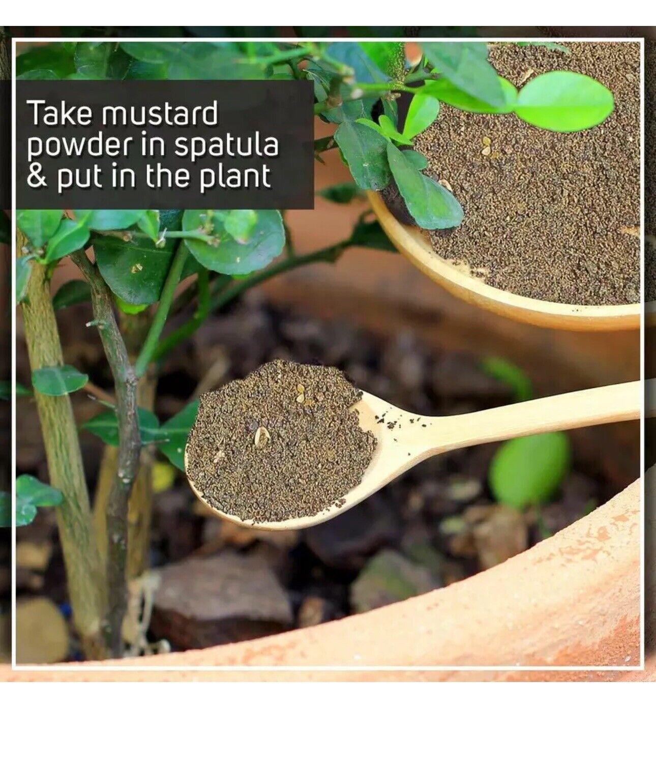 Mustard Oil Cake Powder 1Kg for Home Garden Potting Plants, Organic Fertilizer