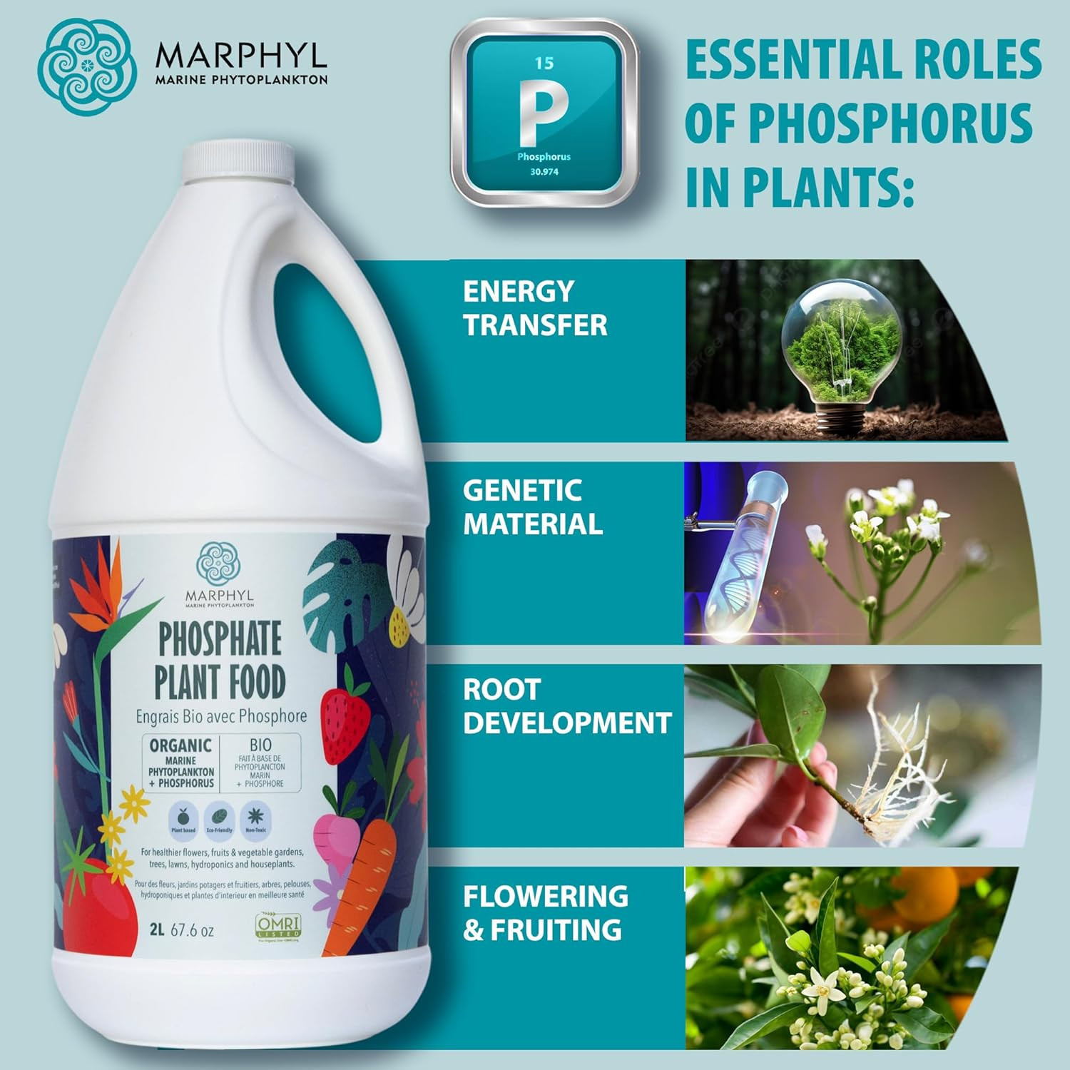 MARPHYL Organic Liquid Phosphate Soil Enhancer – Phosphorus Fertilizer for Root