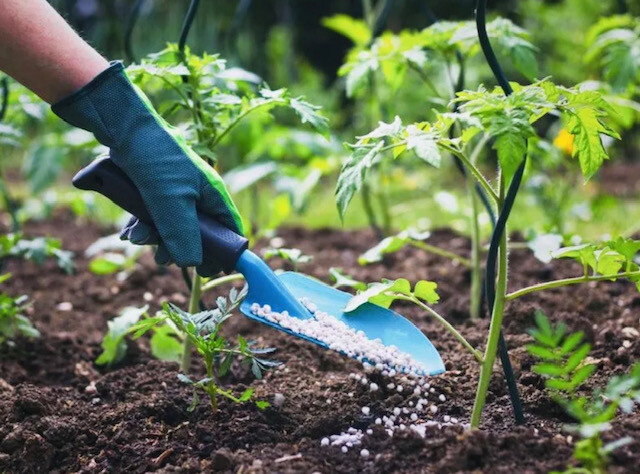 ALL PURPOSE 10-10-10 FERTILIZER FOR VEGETABLE, FRUIT GARDEN, LAWN & MORE, SELECT