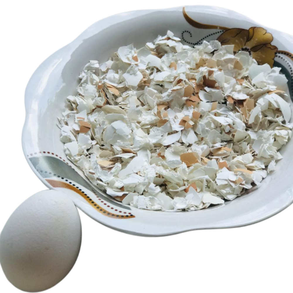 Egg Shell Organic Ceylon Crushed 100g fertilizer Whitener Home Made Calcium