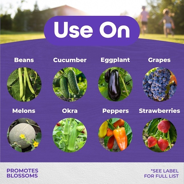 Bonide 8-oz Blossom Spray