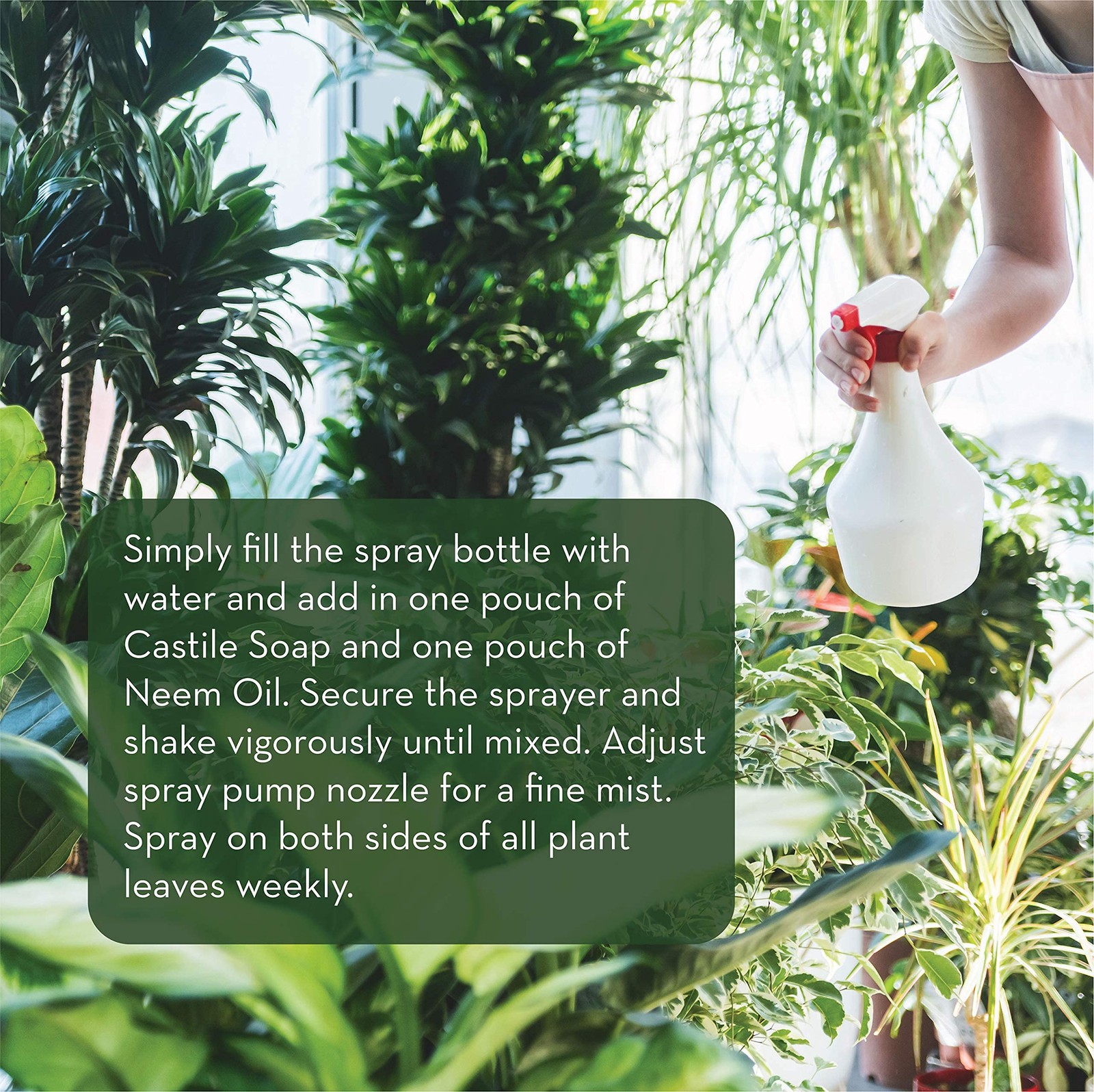Emilys Naturals Neem Oil Plant Spray Refill Kit Makes 48oz Spray Bottle Not Inc