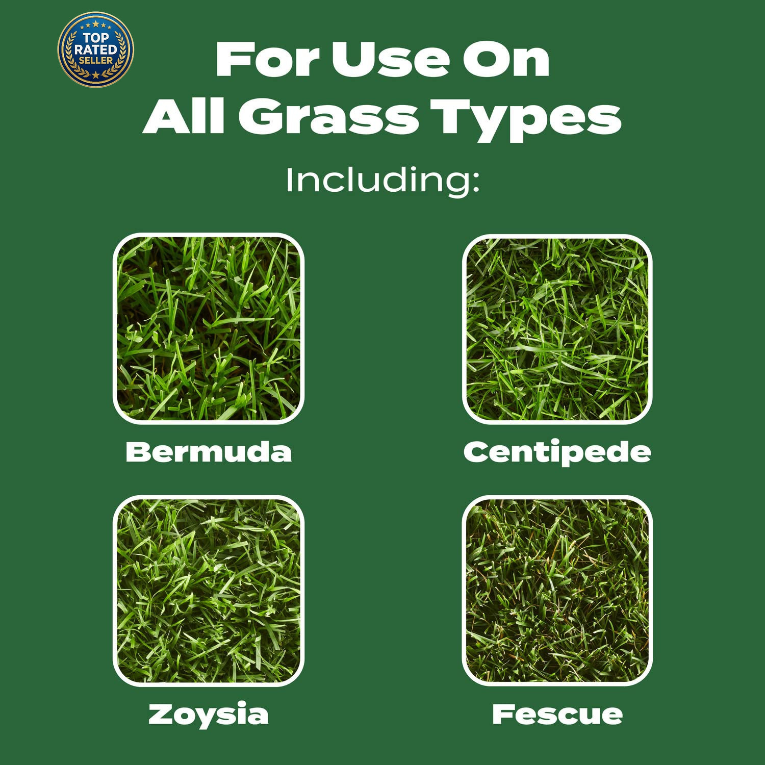 Scotts Turf Builder Lawn Food, 12.5 Lbs. | Fertilizer for Grass, for All Grass T