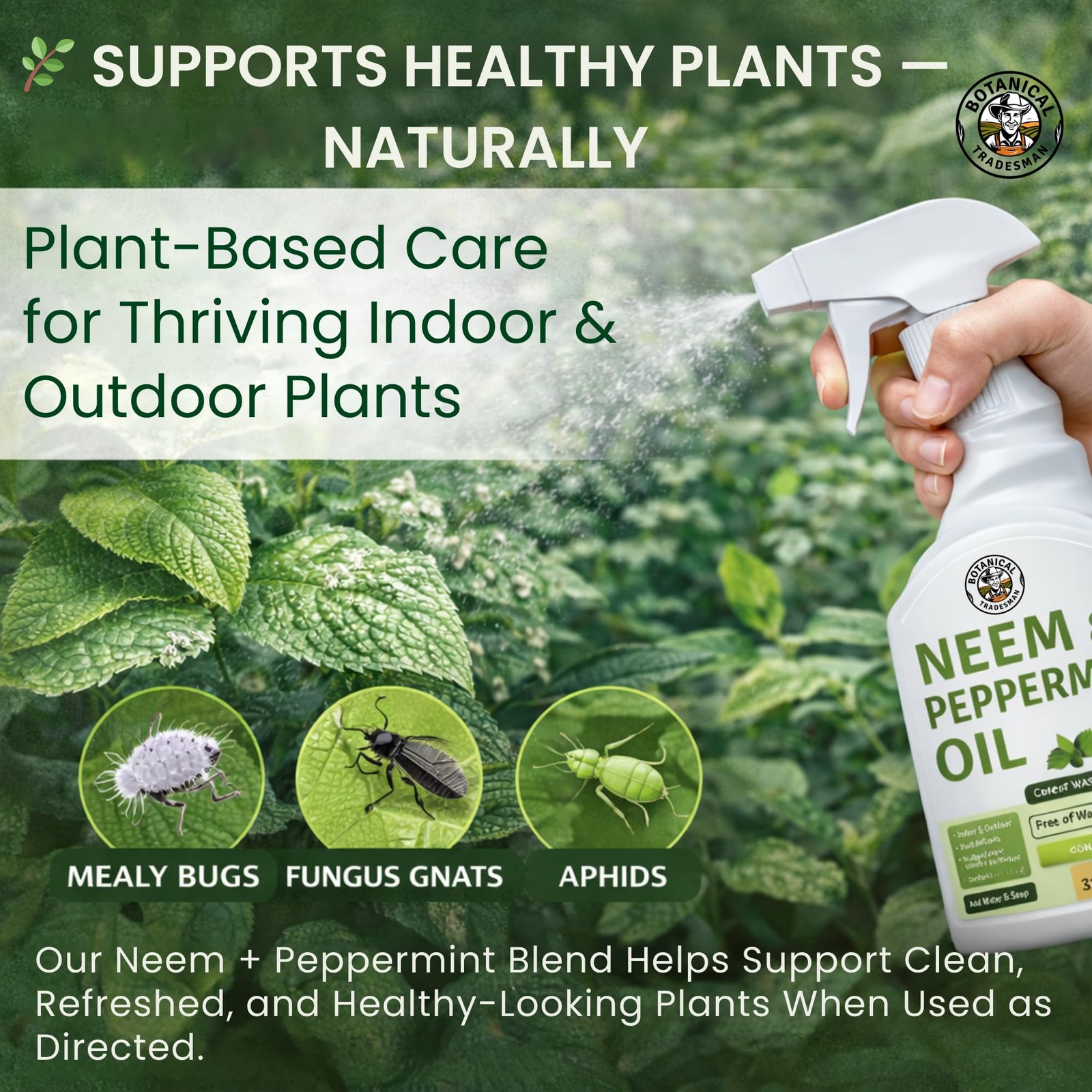 New Neem Oil Spray for Plants with Peppermint – Makes 320 Fl Oz 20 Times Refill-