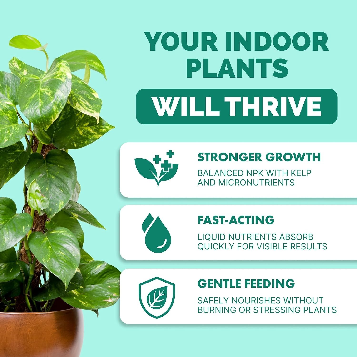 8oz Liquid Plant Food for All Indoor Plants – Encourages Growth & Strong Roots